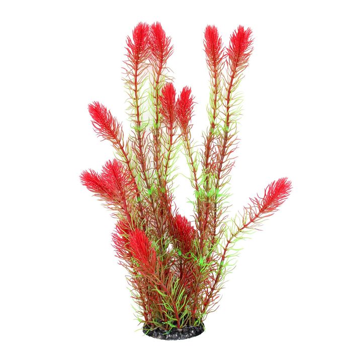 Декоративні, штучні рослини для акваріумів, тераріумів 40 см ОПТ/роздр
