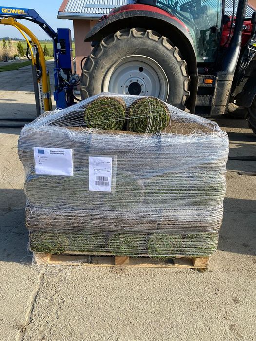 Trawa z rolki / transport / Trawa na SIATCE