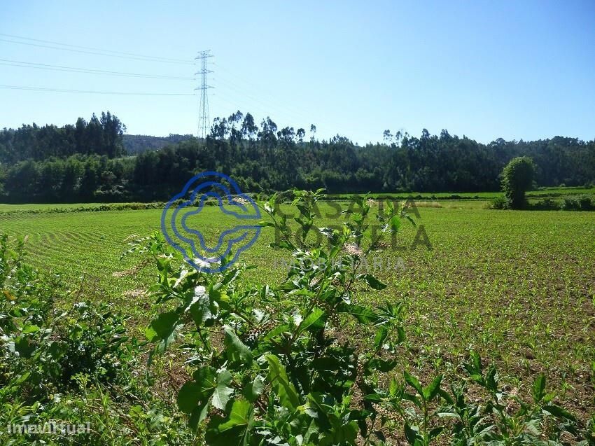 For Sale: Land in Sobrado, Valongo