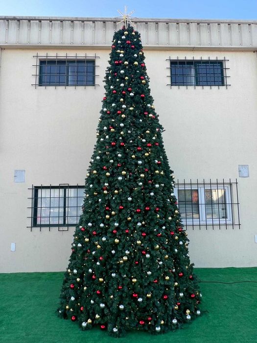 Arvores de Natal