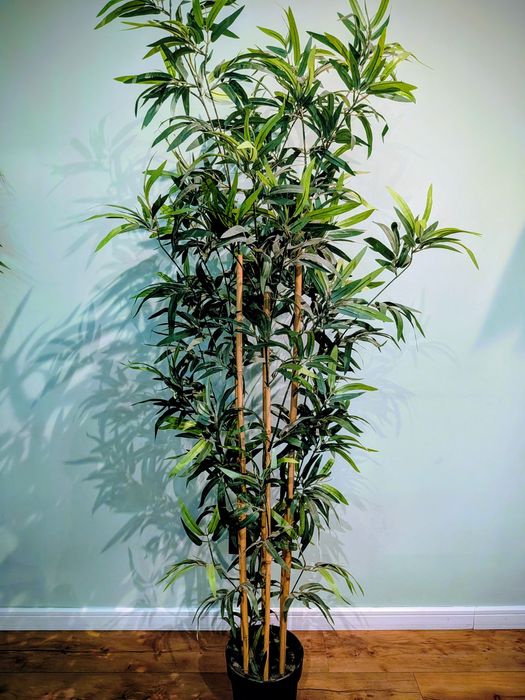 Bambus sztuczny 170 cm