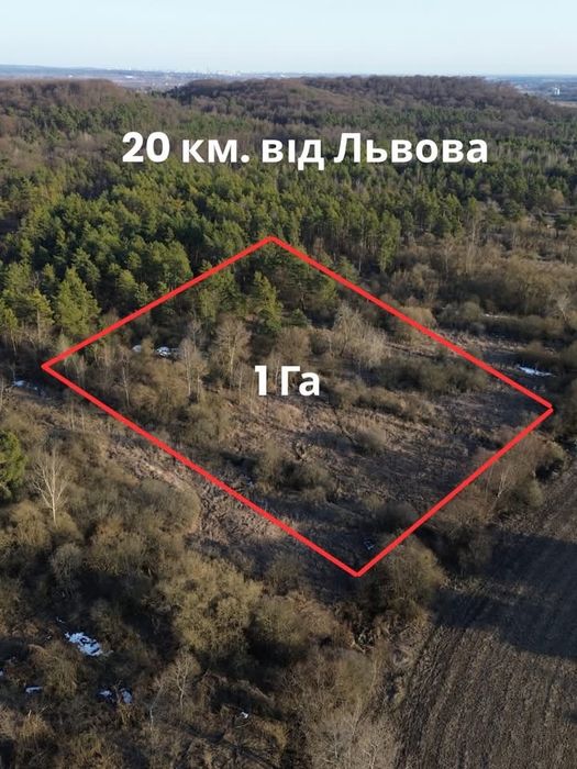 Продаж земельної ділянки с.Лозино , 20 км від Львова - Вид 2