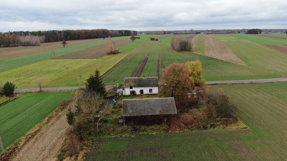 Siedlisko pod lasem  Aleksandrówek, gmina. Poddębice
