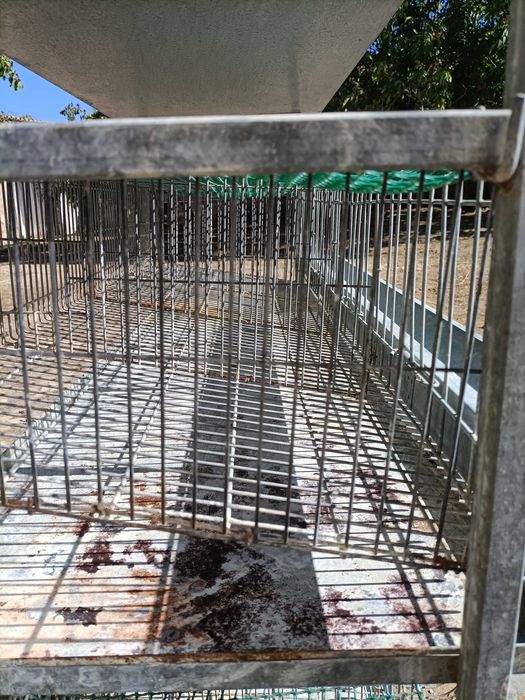 Jaula-Bateria para 64 Codornizes Reprodutoras - 4 pisos sobrepostos