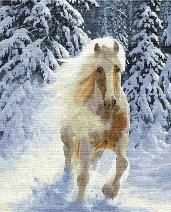Malowanie po numerach koń 40x50