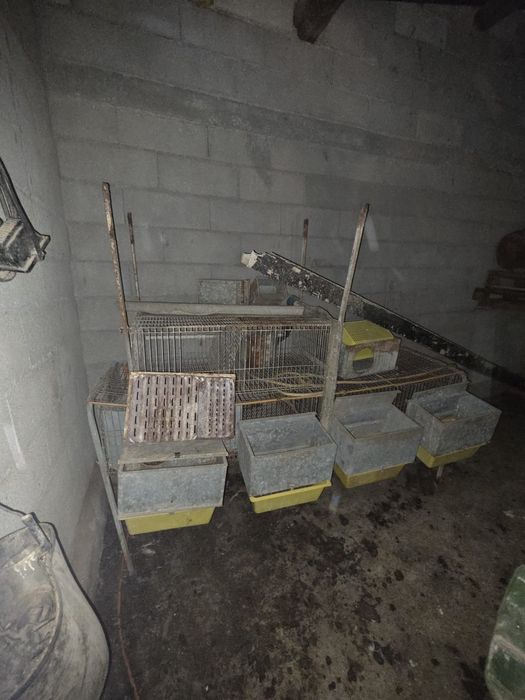 Gaiolas para coelhos