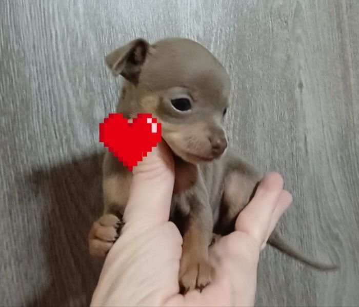 Супер мини девочка