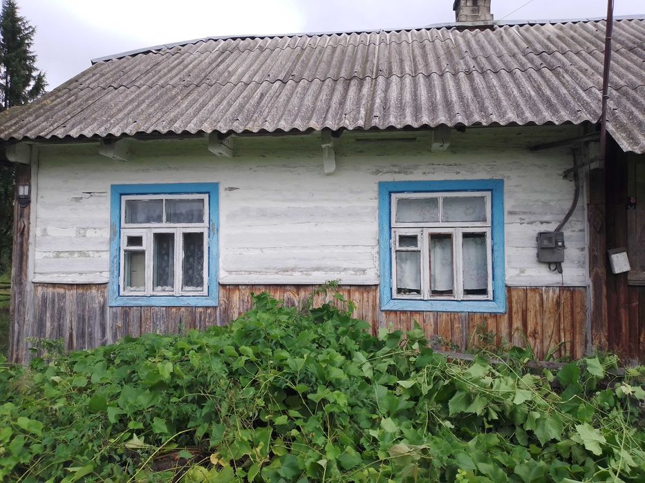 Великий дерев'яний будинок у селі Бузаки