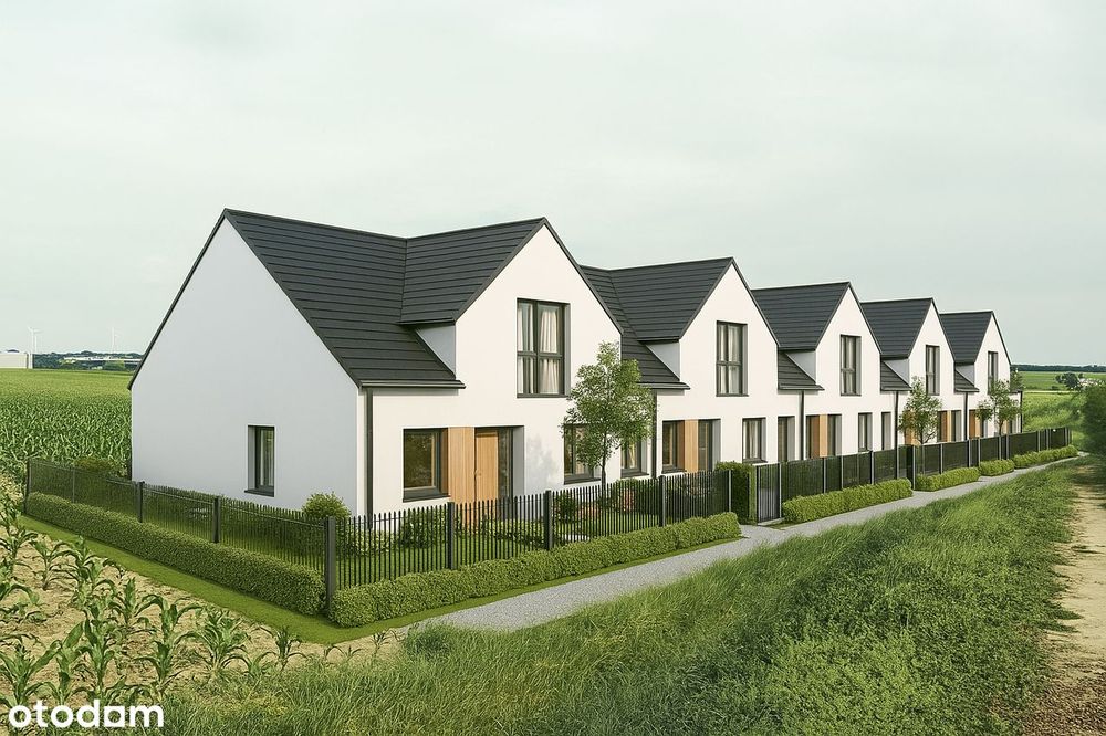 Działka Idealna Pod Inwestycję| Wz Na 6 Domów 2-Lokalowych | 6700M2 - Więcej