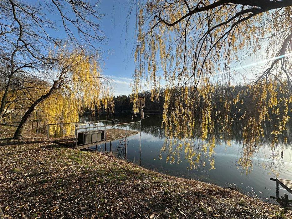 Здам шикарний будинок в Орловщині.