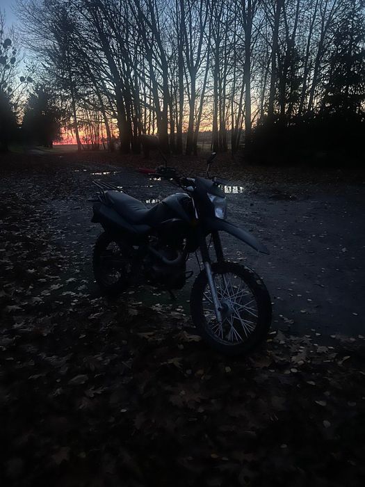 Geon x road 200 light