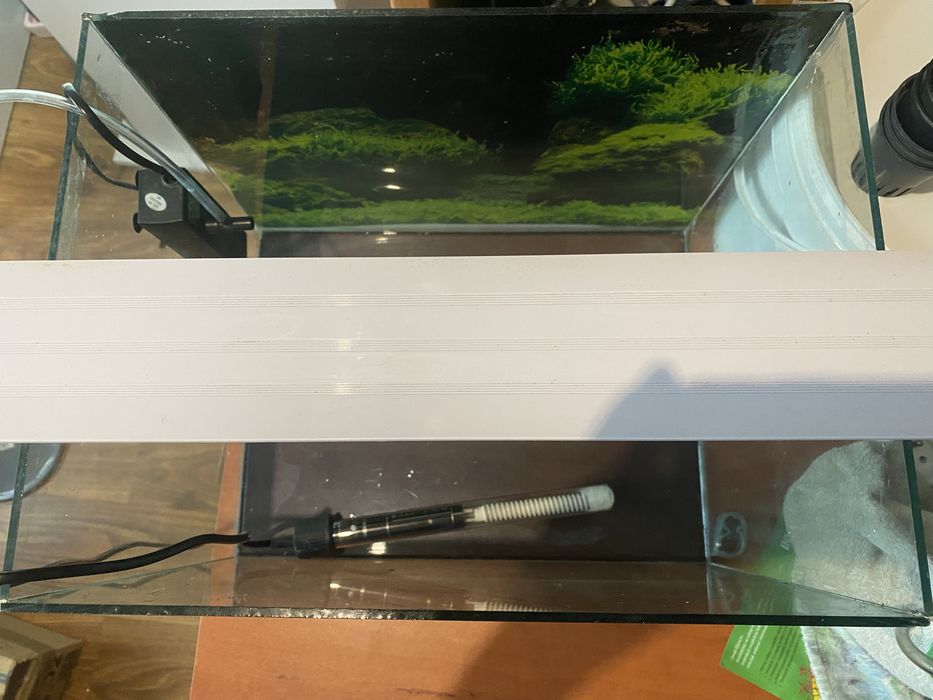 Zestaw Kompletne Akwarium Terrarium dla ryb 36litrów ze sprzętem 40cmx30cmx30cm