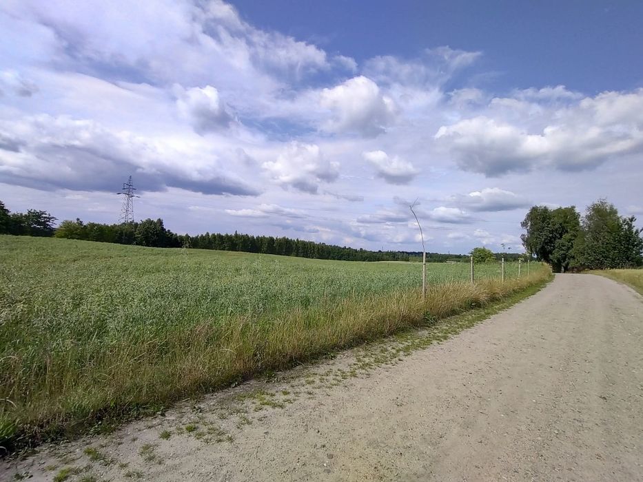 Ziemia, pole, sprzedam 2,5h