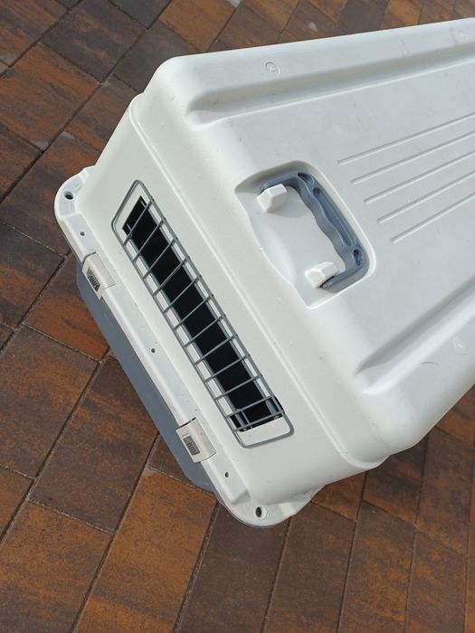 Transporter dla Psa Anione L80