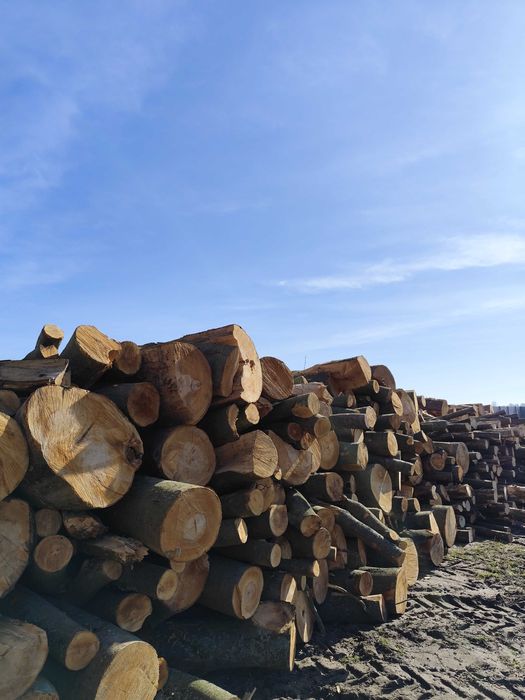 Drewno kominkowe i opałowe