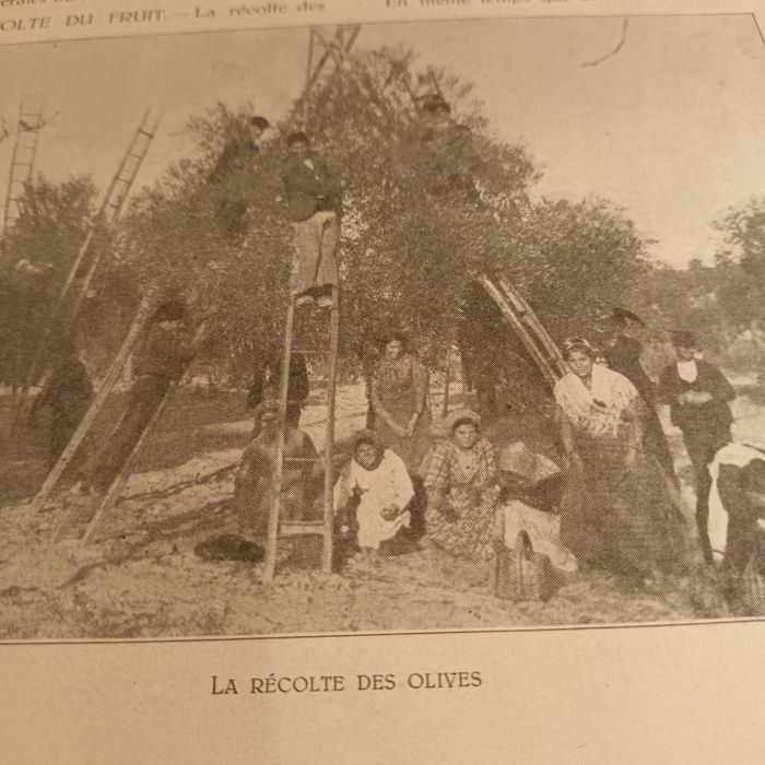 Livro Le Portugal et son activite economique