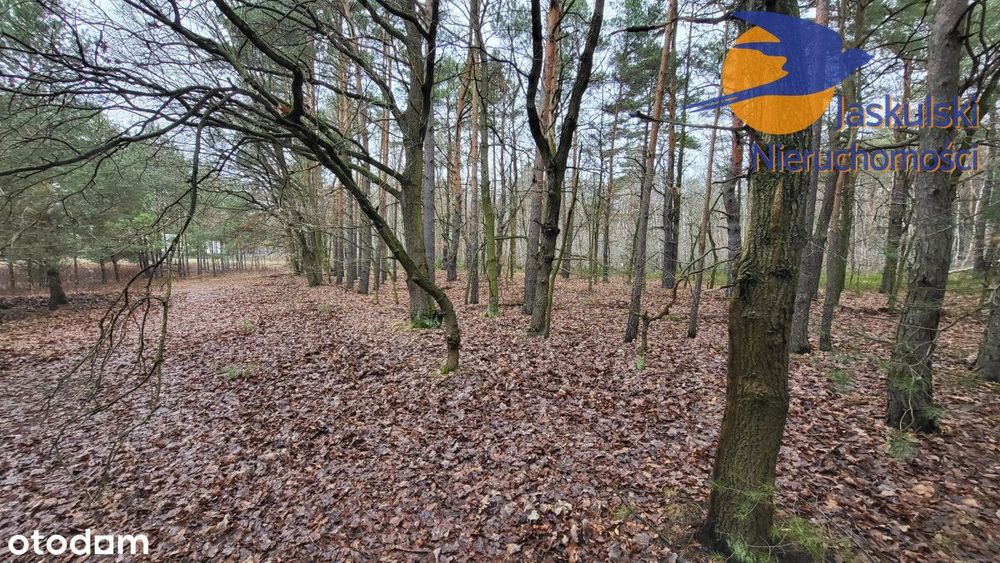Działka na sprzedaż, 1439 m²