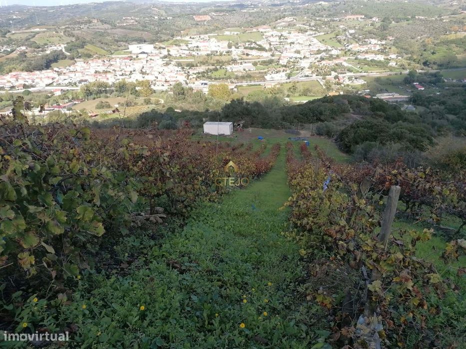 Terreno Rustico