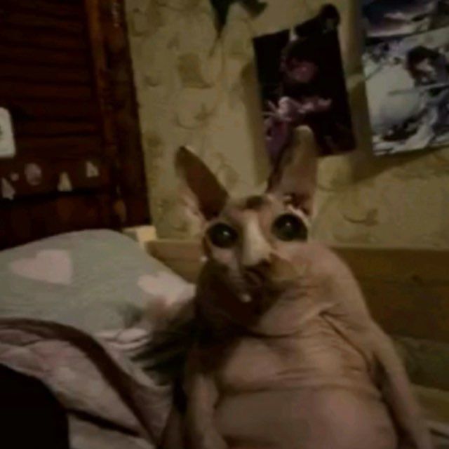 Ваш друг на 1час