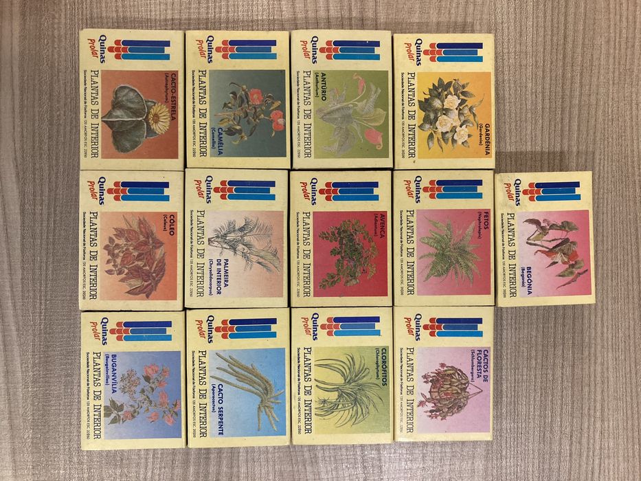 Conjunto de caixas de fosforos com flores