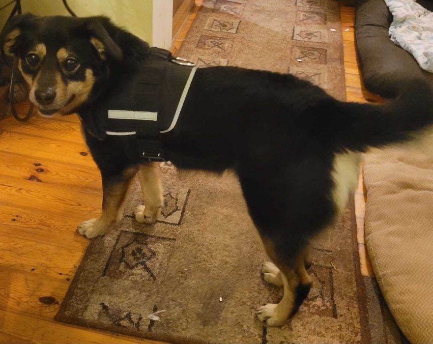 Olek .do szczęscia brakuje mu czlowieka.