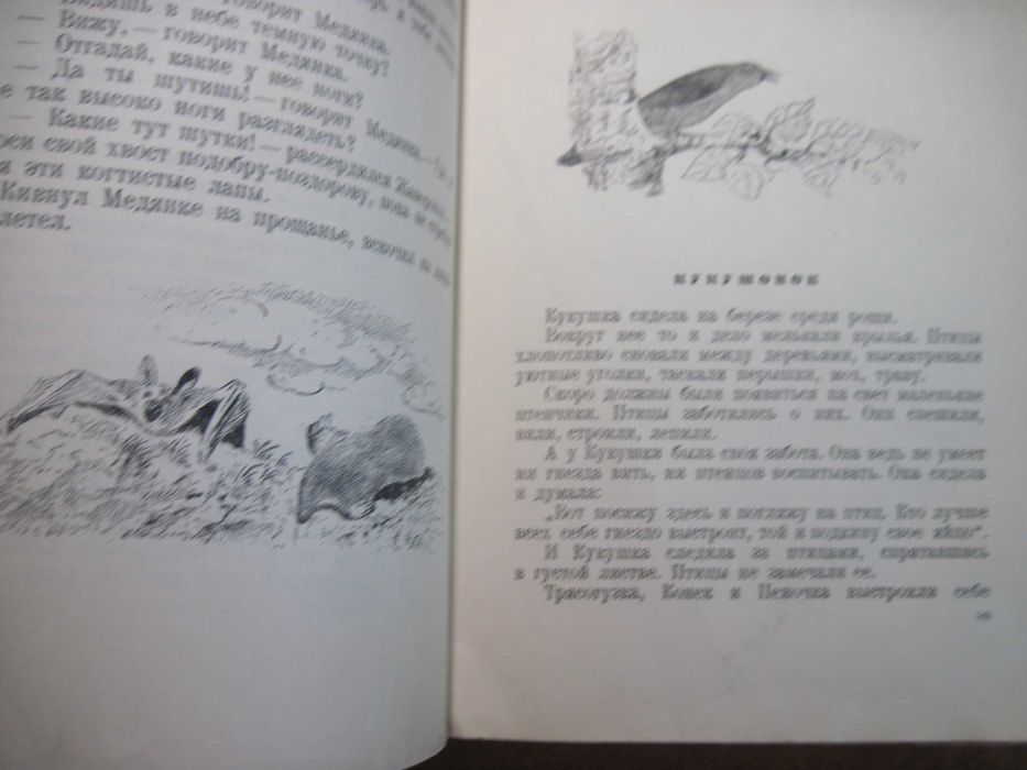 В. Бианки. Лесные были и небылицы. Рис.  Чарушин. Лениздат 1952 372 с.