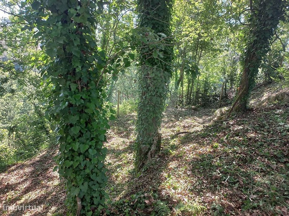 Terreno  para venda
