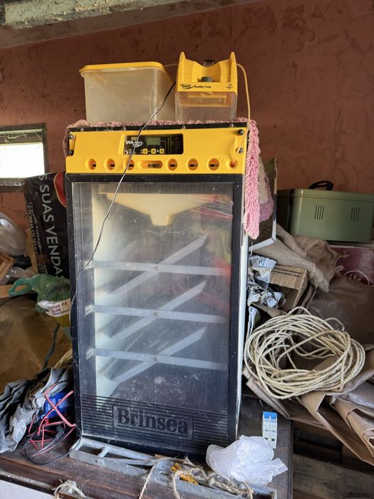 Incubadora Brinsea Ova-Easy Advance + Humidificador – Excelente Estado