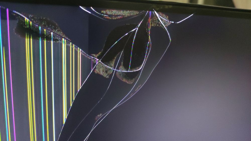 DELl P2419H para peças grátis recolha