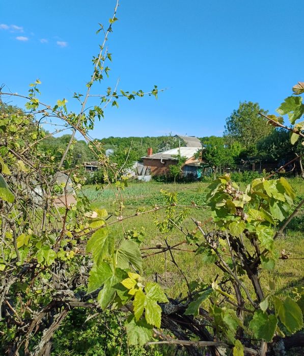 Продаж земельної ділянки з будиночком в Дубово.