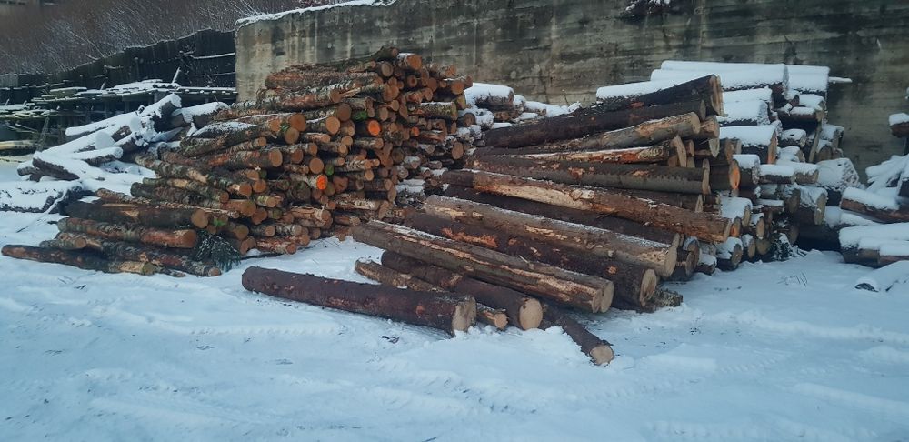 Drewno Opałowe kominkowe