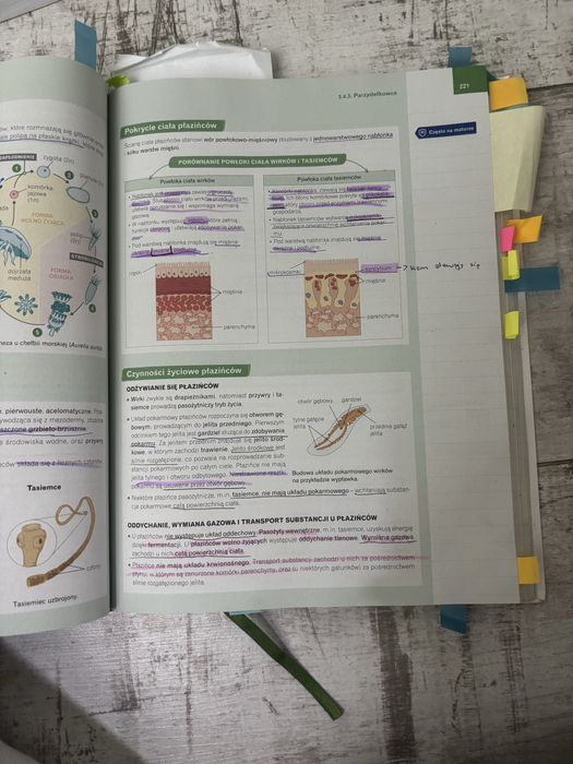 Nowa era biologia repretytorium