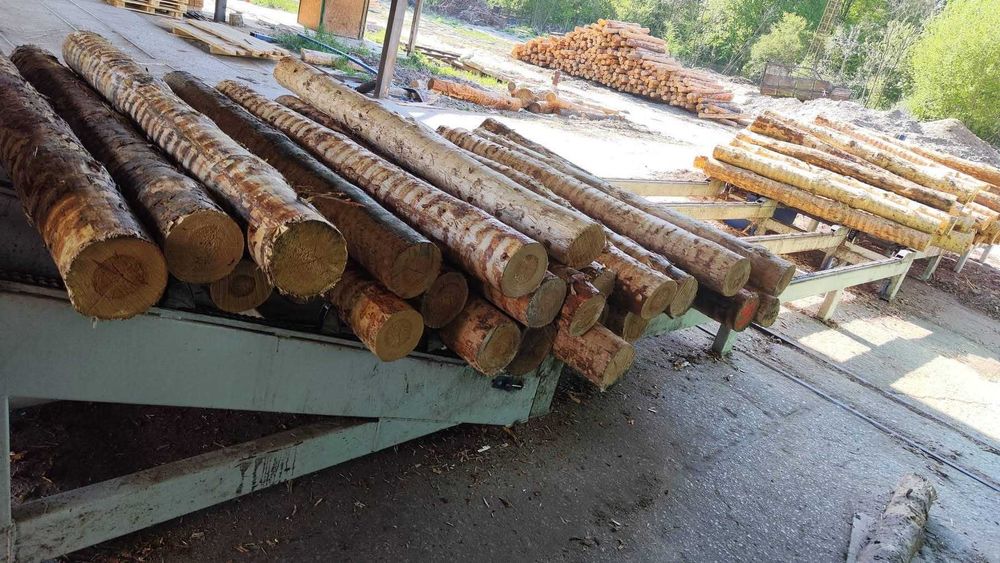 OKAZJA! Linia tartaczna Walter 2024 – kompletna linia produkcyjna drewna
