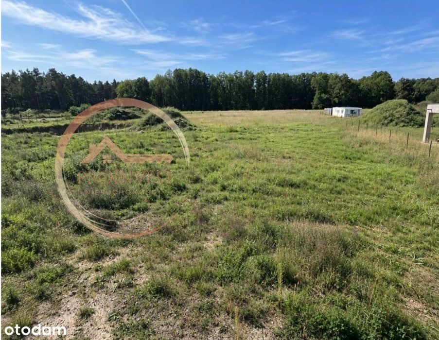 Pozwolenie na budowę, Kruszyn Krajeński, w lesieWz - Widok 2