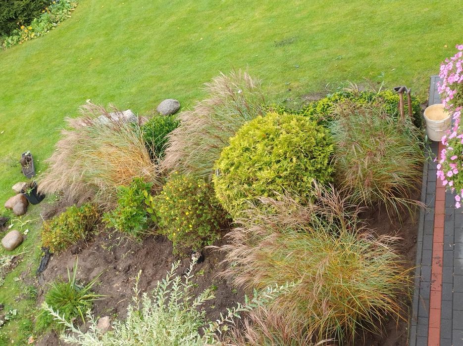 Trawy ozdobne Miskanty chińskie czerwone różne