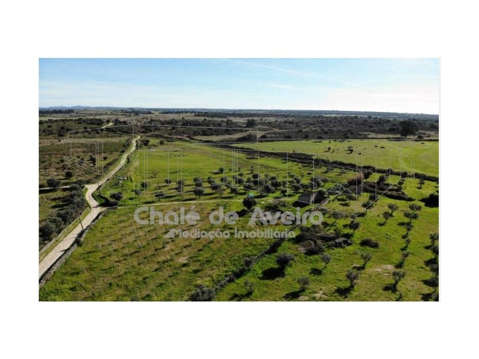 Herdade em Portalegre Com 200 Oliveiras (Nisa)