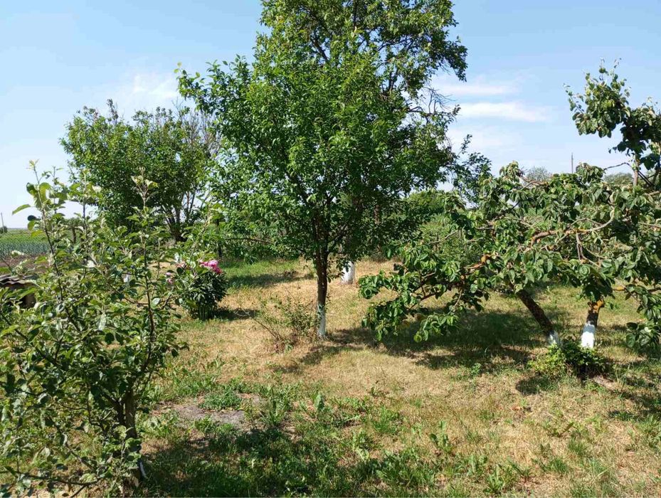 Продам будиночок Бабчинці(ОТГ)