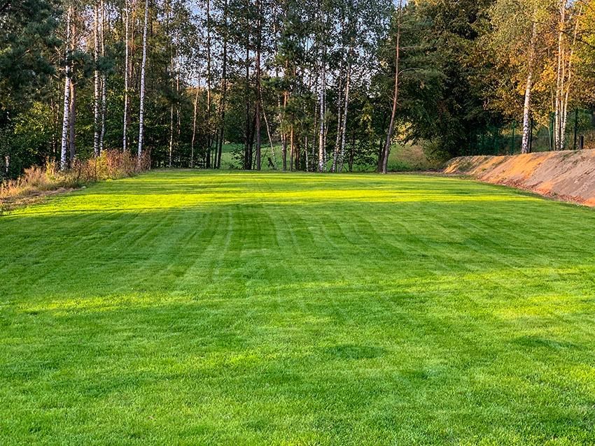 Sprzedam siedlisko 1,27 ha