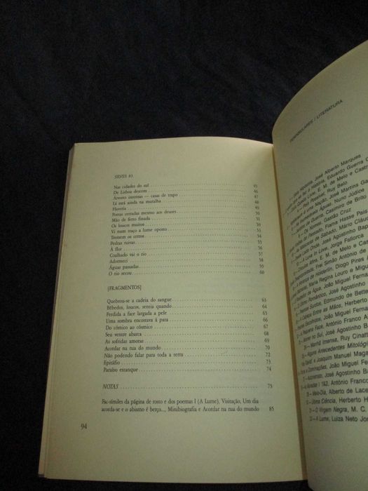 Livro A Lume Luiza Neto Jorge