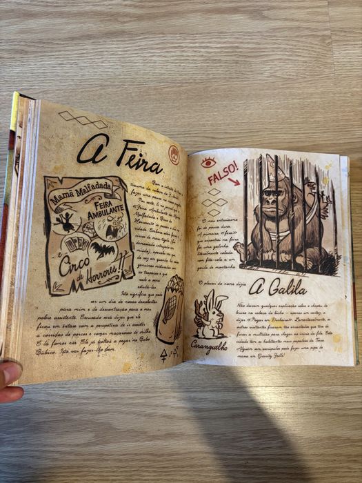 Diário Gravity Falls - NOVO
