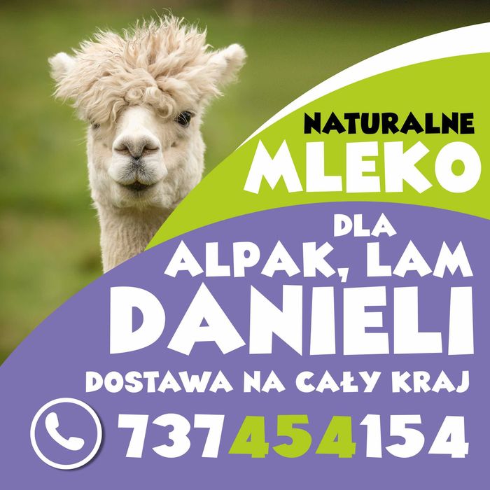 mleko  dla alpaki alpaczka alpaka