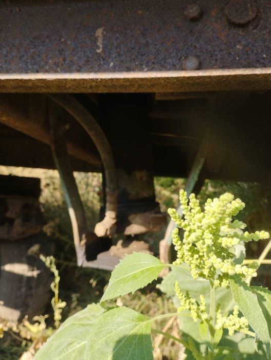 Тракторний прицеп 2ПТС-4