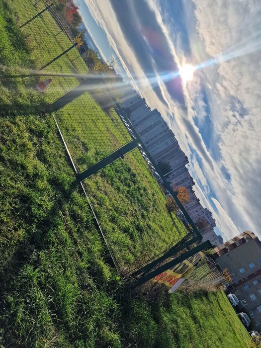 Ogrodzenie siatkowe słupki brama