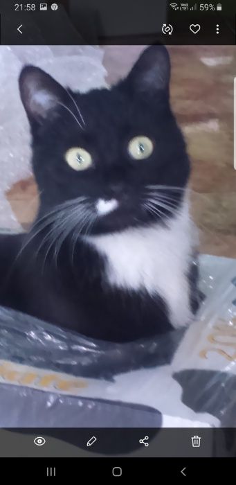 Odnalazła się po 4 lat i 6 miesiącach