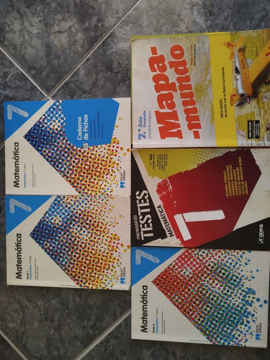 Vários manuais/ livros fichas 5° ao 11° anos