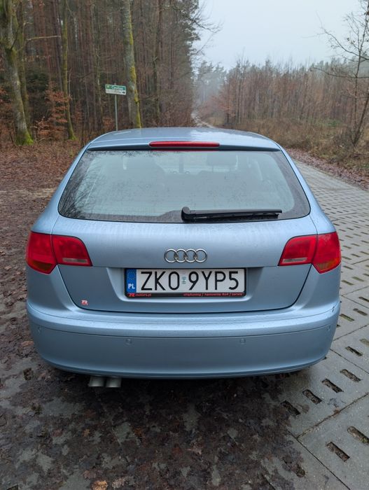 Audi A3 8p sportback 1.9 TDI DSG 2007R