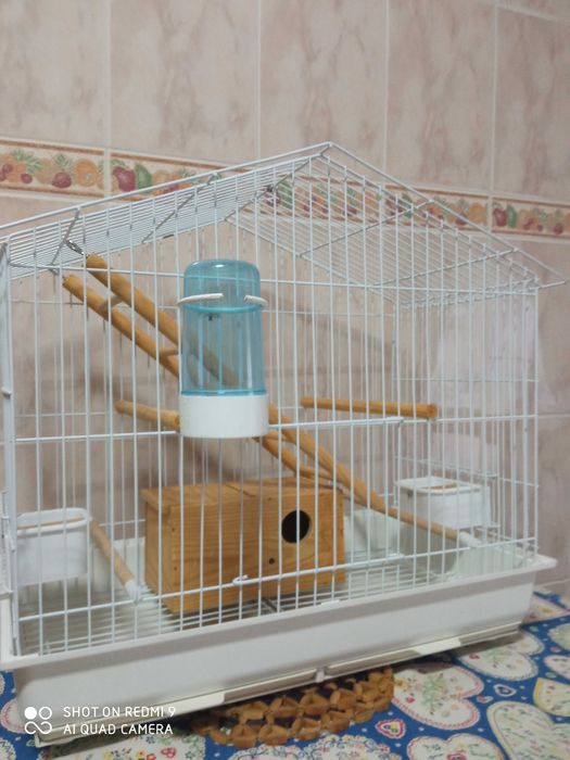 Gaiola para hamster + gaiola p ficheres ou papagaio etc.