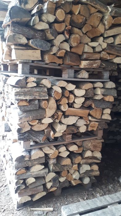 drewno opałowe kominkowe