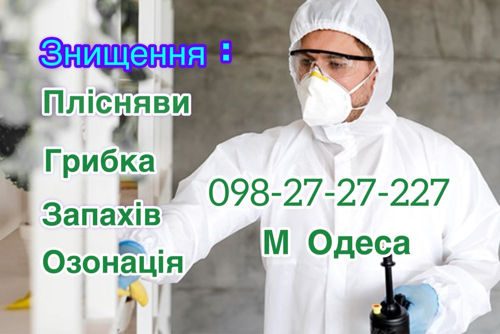 ‼️ПЛЕСЕНЬ Удаление Грибка Знищення Плісняви Озоном Убрать Запахи