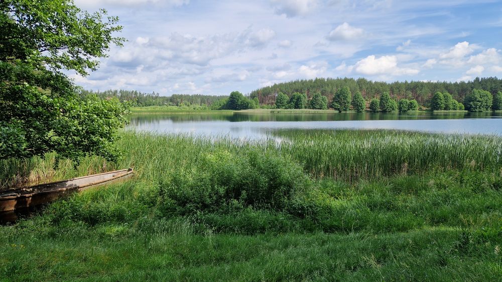 Działka Usługowa pod Market, Pensjonat, Agroturystykę.Z MPZP. - Ansicht 4